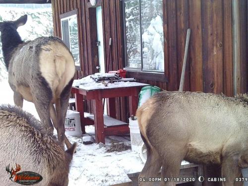 89613663_10221779984507418_5799965652319993856_o_10221779984467417