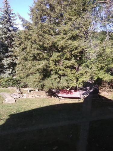 22549929_10203699974335807_5185374864462232290_n_10203699974335807