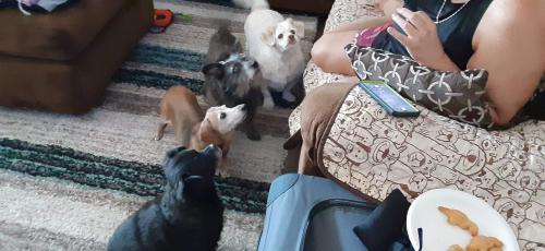 received_333121264681531