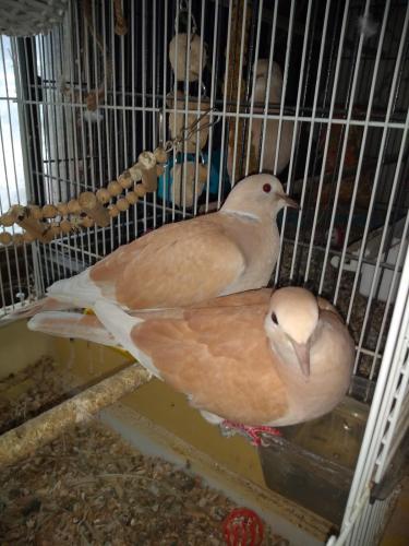 18:19:27 GMT-0500 (CDT)