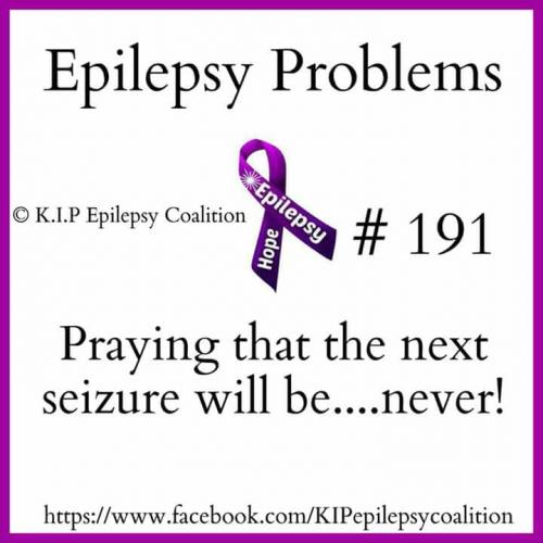 32592848_10204471057052393_7456713655703306240_n_10204471057012392