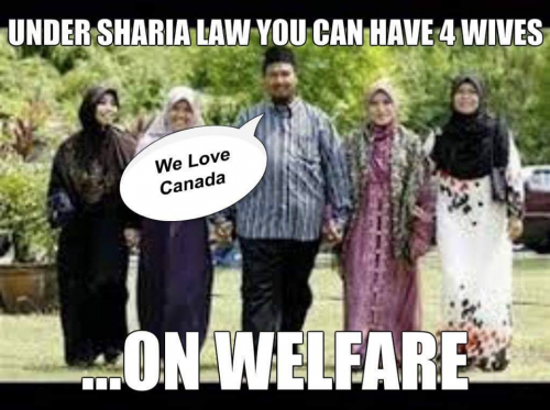 Sharia welfare