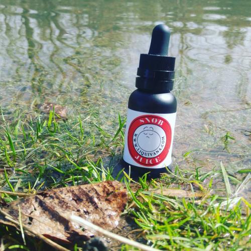 17310038_1437597492937606_9210789119646022884_o