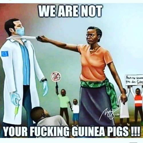 94034491_2765785493690405_6739976685942210560_n