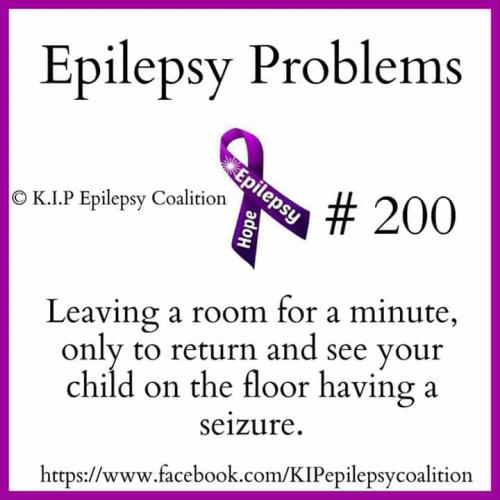 32598559_10204471055812362_1576412607206653952_n_10204471055772361