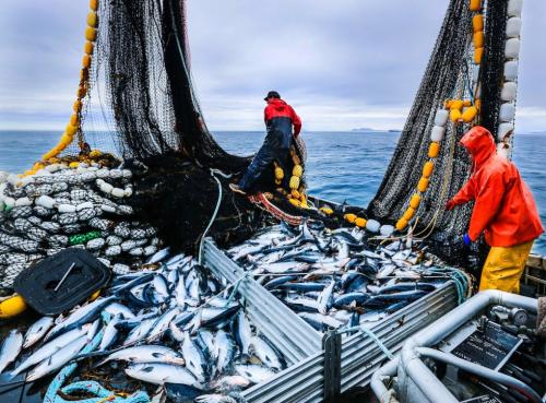 8d2942ac-321c-447e-8524-8672b5cdea22