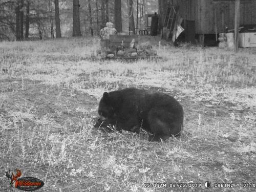 67341835_10219678055280501_2215488124350365696_o_10219678055200499