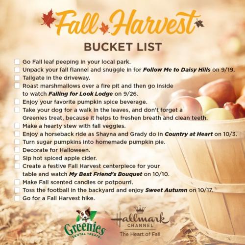 14:14:18 GMT-0600 (MDT)