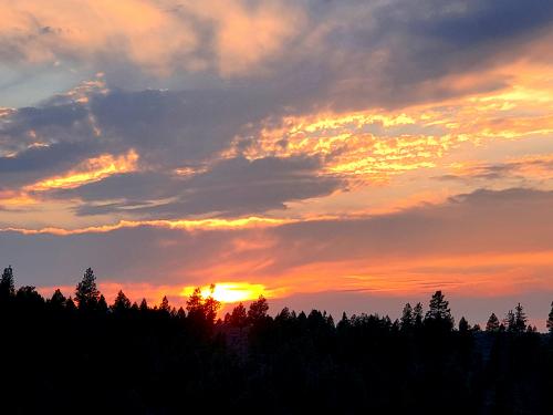 inbound446216651811508776