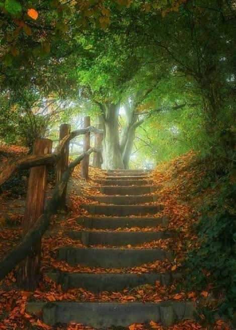 FB_IMG_1603934730101