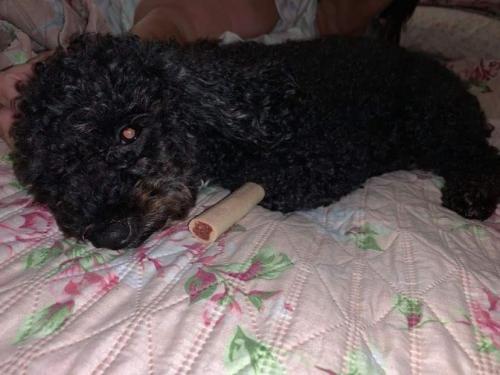 received_321058922283609