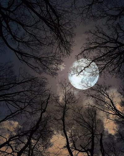 21:40:35 GMT-0500 (CDT)