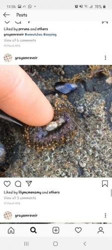 94067049_2761709870764634_599630958404042752_o