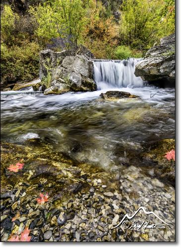 maple-leaves-creek-Idaho