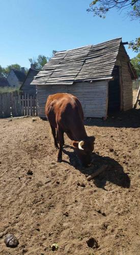 21:36:47 GMT-0600 (MDT)