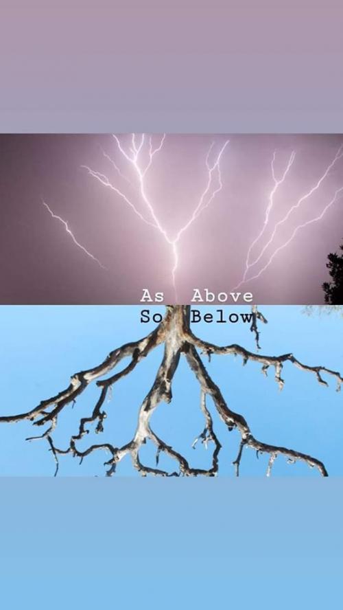 61013404_298681824413993_1043093830728941568_n