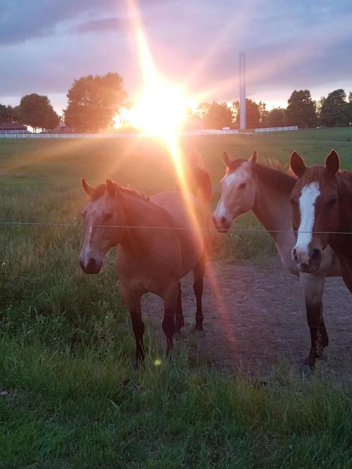 20200516_200825_capture