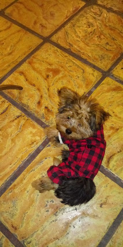 JPEG_1346883536086145