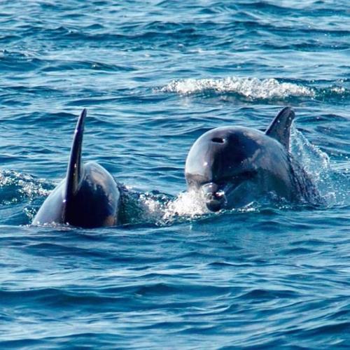 21:42:56 GMT-0400 (EDT)