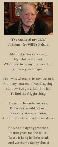 122804482_5159139127445560_68946967398787542_o