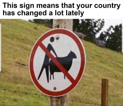 121327281_974079683071586_6349505487882021435_o