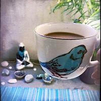 3C05021A-7B4E-4ED7-9C52-E5E95F60B21D