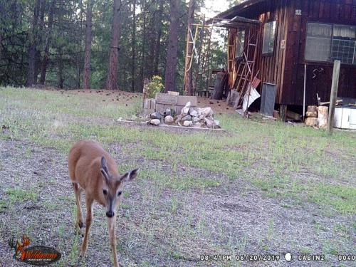 67502411_10219691358533074_7231351945678553088_o_10219691358493073