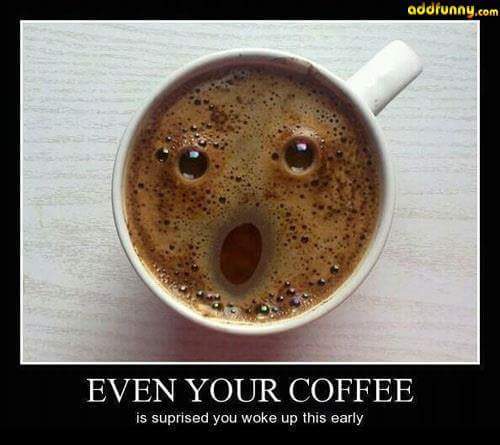 12109022_10200897812163504_193365060141675221_n_10200897812163504