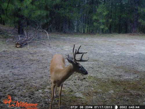 1001910_10201668880582389_1617893709_n_10201668880582389