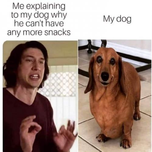 14:48:54 GMT-0400 (EDT)