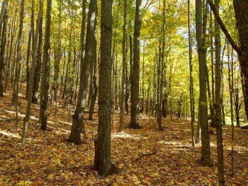 08:12:28 GMT-0400 (EDT)