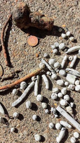 11:22:23 GMT-0700 (PDT)