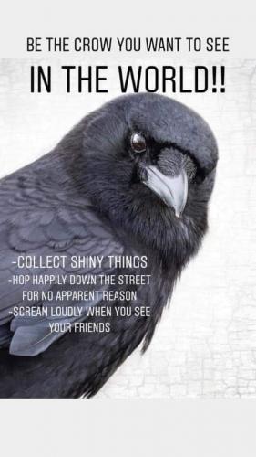 01:42:14 GMT-0500 (CDT)