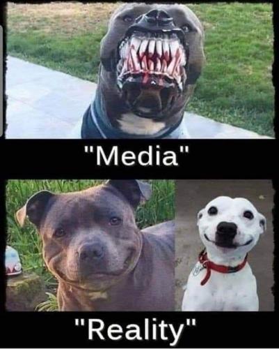 10:34:07 GMT-0400 (EDT)