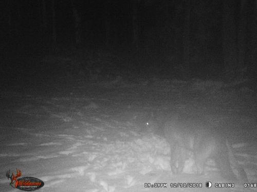 57577050_10218905924897724_2239463168667549696_o_10218905924857723