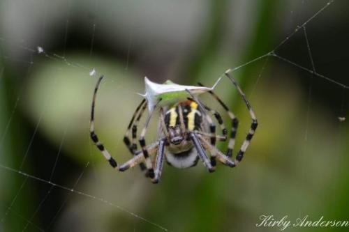 21:30:18 GMT-0600 (CST)