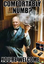 comfortably numb