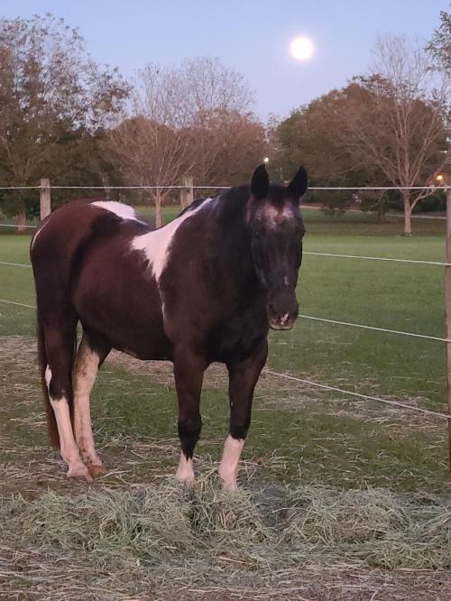 13:49:39 GMT-0500 (EST)