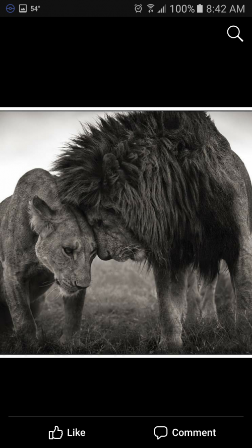 23:03:56 GMT-0500 (EST).png