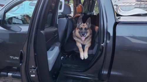 95955827_1137031219970515_2493012877904969728_o