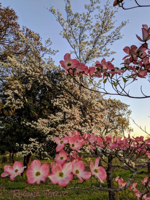 07:55:15 GMT-0600 (CST)