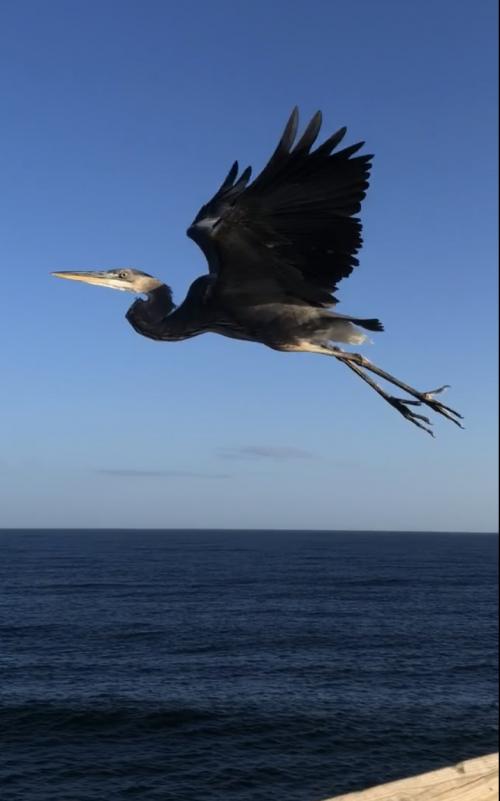 18:48:31 GMT-0500 (EST).image