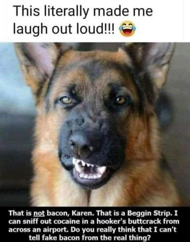 07:29:11 GMT-0700 (MST).image