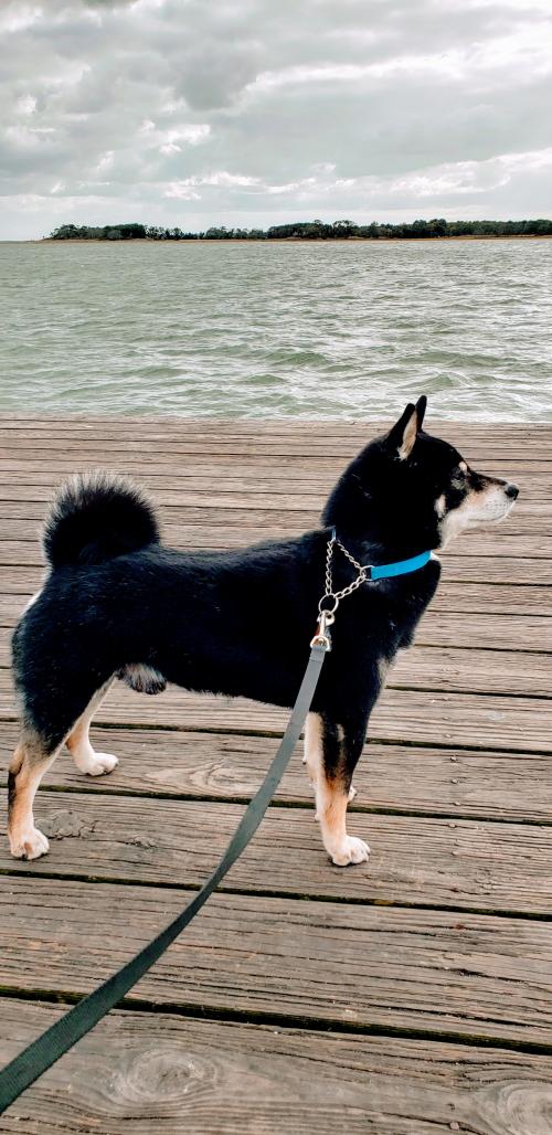 10:28:24 GMT-0500 (EST)