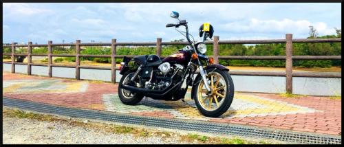 1984Shovelhead1