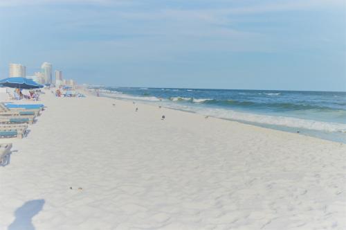 22:53:45 GMT-0600 (CST).image