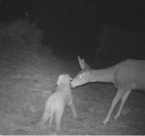 15:02:20 GMT-0700 (MST).image