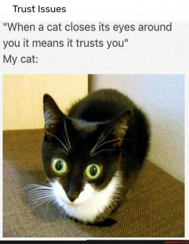 21:54:19 GMT-0600 (CST).image