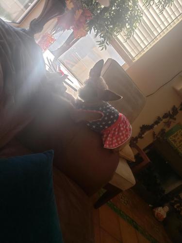 03:58:45 GMT-0700 (MST)