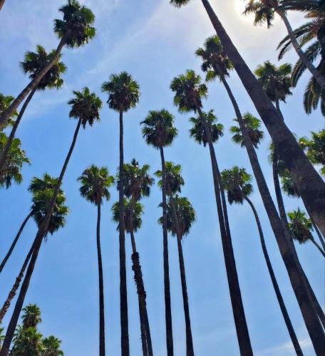 15:42:50 GMT-0800 (PST)